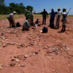 Scientists discover new 210-million-year-old dinosaur in Zimbabwe