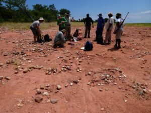 Scientists discover new 210-million-year-old dinosaur in Zimbabwe