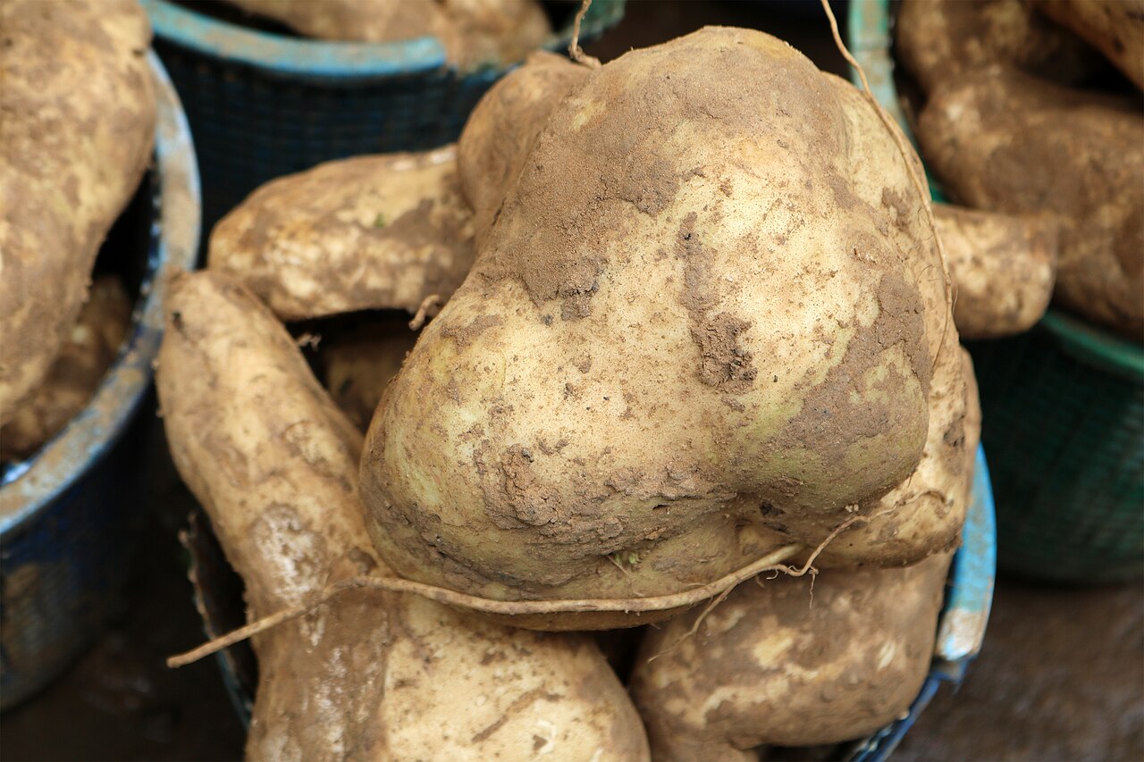 Nigeria revives stalled project to transform potato industry