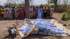 Bandits kill 26 farmers in northwest Nigeria’s Zamfara State