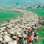 German-Rwandan man held over 25 killings during Rwanda genocide