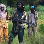 Lakurawa: The jihadist group exploiting Nigeria-Niger tensions