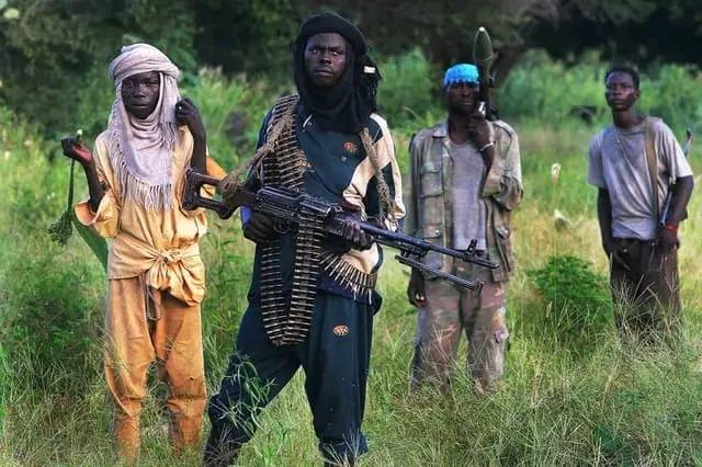 Lakurawa: The jihadist group exploiting Nigeria-Niger tensions