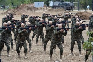 How Hezbollah’s elite Radwan Force was weakened