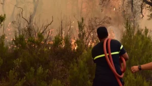 Moroccan teams deploy aircraft to contain the forest fire in Sefrou
