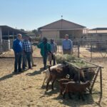 US and Namibia deepen partnership on livestock breeding industry