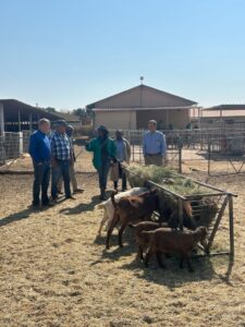 US and Namibia deepen partnership on livestock breeding industry