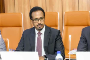 Somalia cabinet approves landmark bill to certify domestic goods