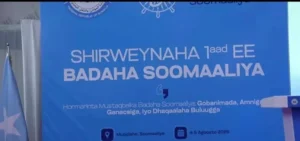 Somalia hosts its inaugural maritime event to boost blue economy
