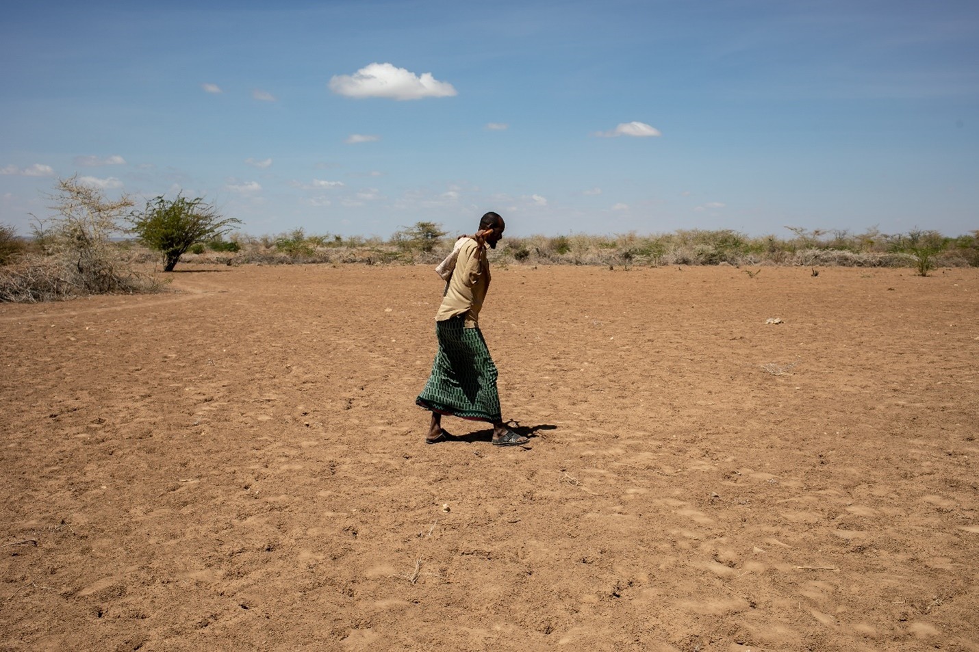 Drought forces thousands to flee to Somali displacement camps