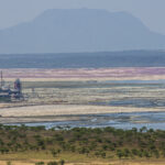 Ruto tells Tata Chemicals to leave Kenya over local investment concerns