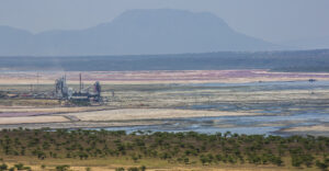 Ruto tells Tata Chemicals to leave Kenya over local investment concerns