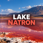 Lake Natron: The African lake that preserves animals like stone