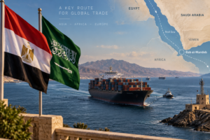 Egypt and Saudi Arabia call for secure Red Sea shipping routes