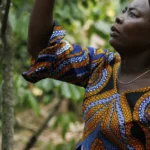 Ivory Coast keeps cocoa price unchanged, disappointing farmers