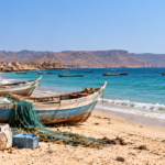 Somali piracy resurgence leaves coastal fishermen struggling to survive