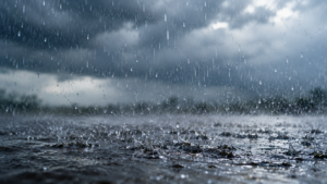 Several killed as heavy rains trigger flooding across Senegal